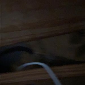 Meet your Posher, Devon